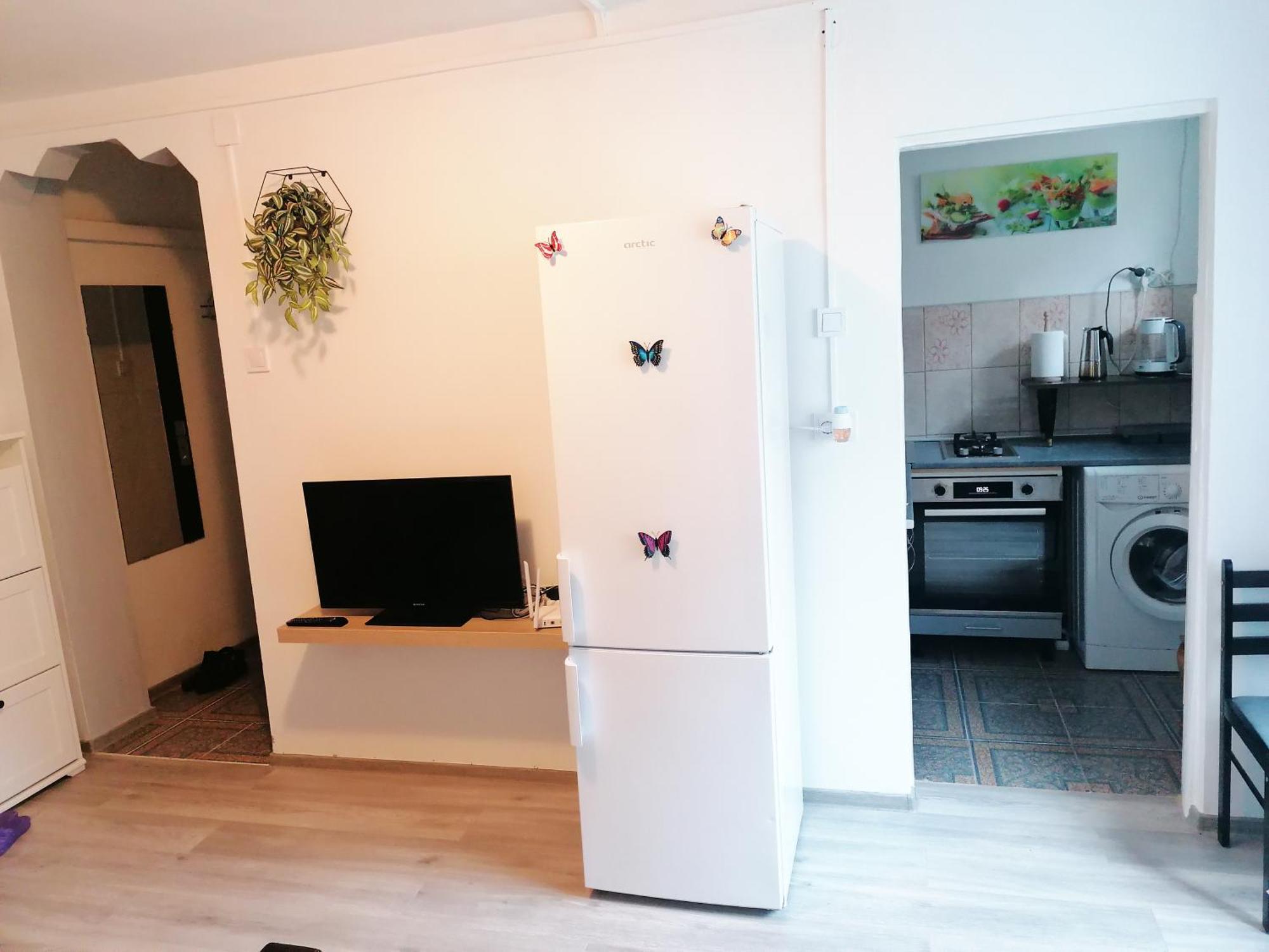 Romanilor - Studio First Floor ديفا المظهر الخارجي الصورة